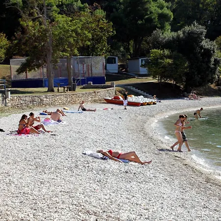 Family-friendly With Swimming Pool Pjescana Uvala, - 22778