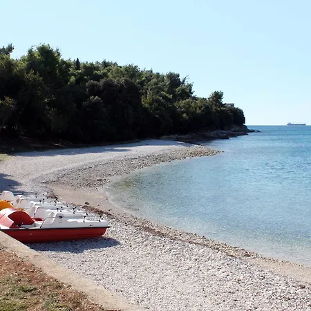 Apartment Family-friendly With Swimming Pool Pjescana Uvala, - 22778 Pula