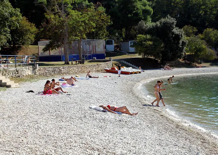 Family-friendly With Swimming Pool Pjescana Uvala, - 22778